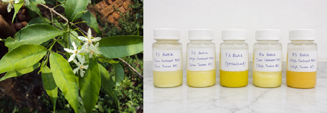 Formulation and Evaluation of Emulgel Containing Wrightia tinctoria Leaves Extract for the Management of Psoriasis
