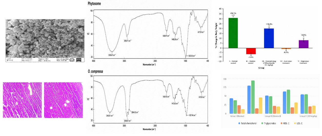 Evaluation of the Antidiabetic and Antioxidant activities of ochthochloa compressa in STZ-induced diabetic rats.