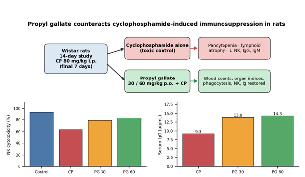IMMUNOMODULATORY ACTIVITY OF PROPYL GALLATE AGAINST CYCLOPHOSPHAMIDE INDUCED IMMUNOSUPPRESSION IN RAT.