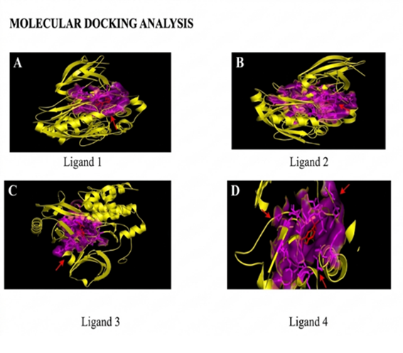 In Silico Docking and In Vitro Antiurolithiatic Activity of Hydroalcoholic Extract of Corallocarpus epigaeus Rhizome