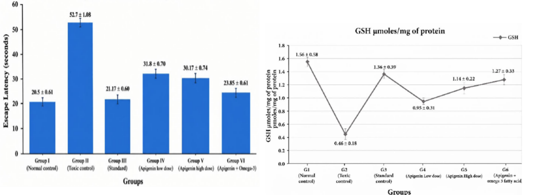 EVALUATION OF THE NEUROPROTECTIVE EFFECT OF APIGENIN AND OMEGA-3 FATTY ACIDS ON CHOLINERGIC DYSFUNCTION AND OXIDATIVE STRESS IN SCOPOLAMINE INDUCED ALZHEIMER’S DISEASE IN RATS