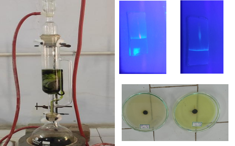 Development and Evaluation of Bentonite-Treated CARICA PAPAYA Leaf Extract Lozenges for Management of Dengue-Associated Thrombocytopenia