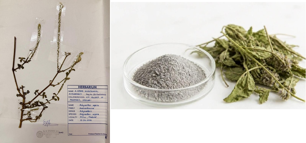 Formulation and Evaluation of Fast Dissolving Tooth paste Tablet By Utilizing Incinerated Achyranthes aspera Ash